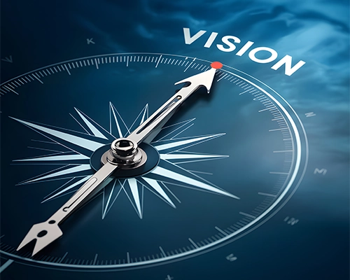 Vision